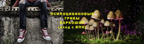 бошки Беломорск