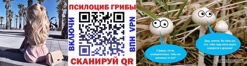 купить наркотик  Шахунья  Псилоцибиновые грибы MAGIC MUSHROOMS 